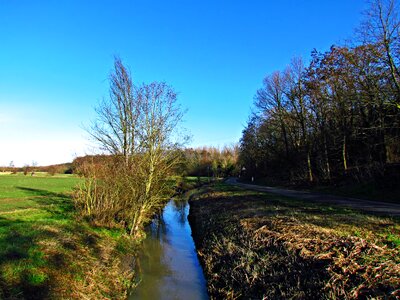 The brook nature spring