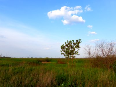Pohreby meadows3