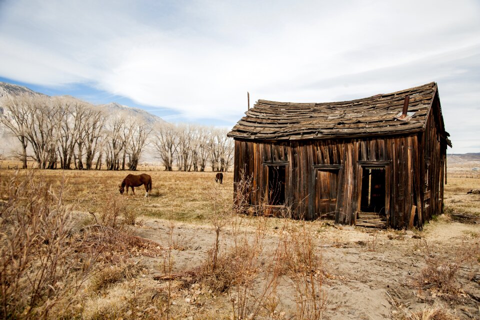 Old nature landscape