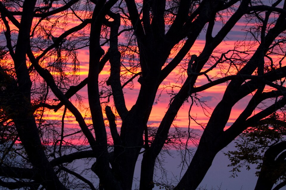 Sunrise sky morgenstimmung