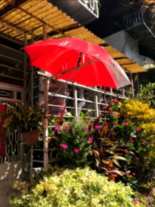 Parasol Hanged on Outdoor Stand for Protecting Plant 20171005
