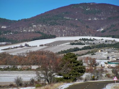 Plateau d'Albion à Saint Trinit