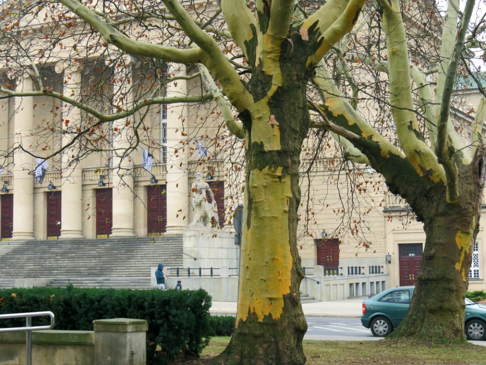 Park Adama Mickiewicza w Poznaniu 04