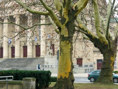 Park Adama Mickiewicza w Poznaniu 04