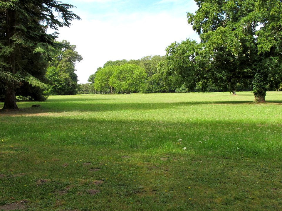 Parc - Chateau Azay le Ferron