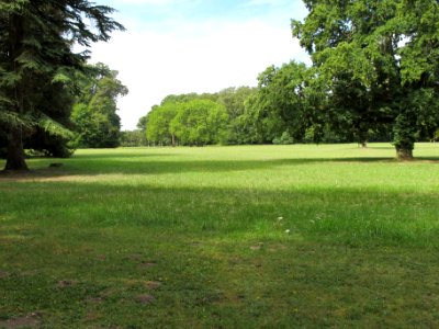 Parc - Chateau Azay le Ferron