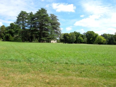Parc - Chateau Azay le Ferron - 2