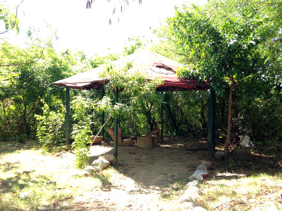 Palapa bosque urbano