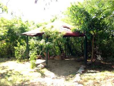 Palapa bosque urbano