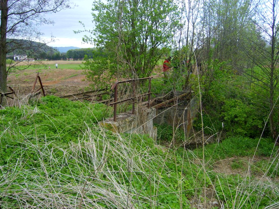 Otovice rail bridge remains