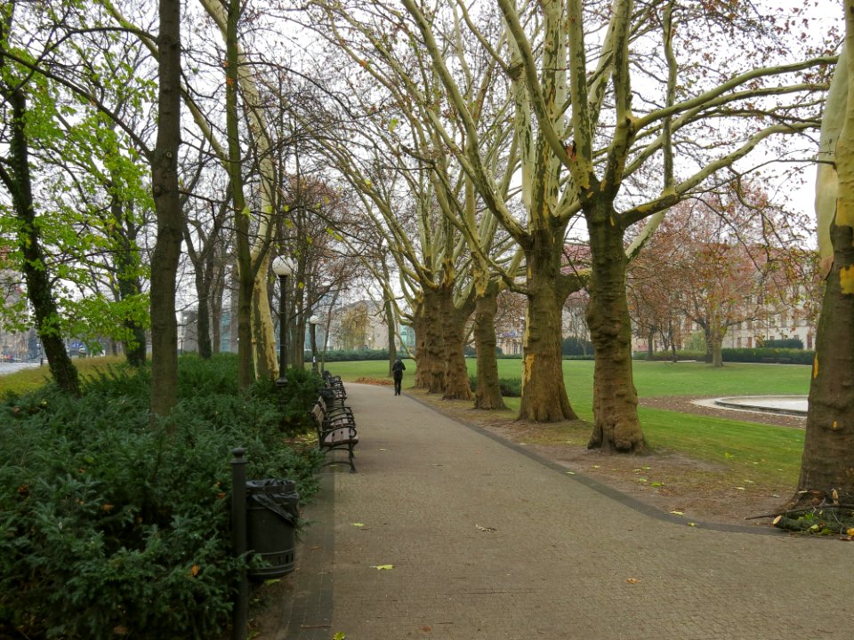 Park Adama Mickiewicza w Poznaniu 01