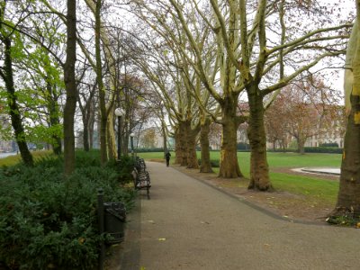Park Adama Mickiewicza w Poznaniu 01
