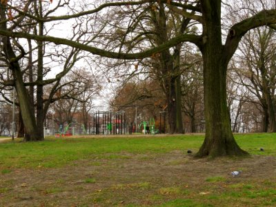 Park im. Drwęskich Poznań 01