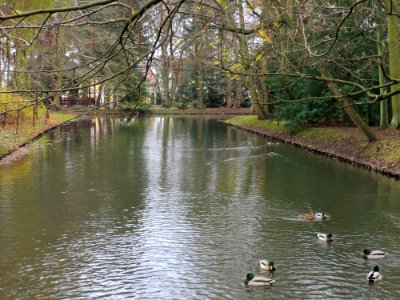 Park Oliwski 5