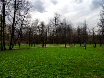 Park of Altufyevo Estate - 2021-05-02