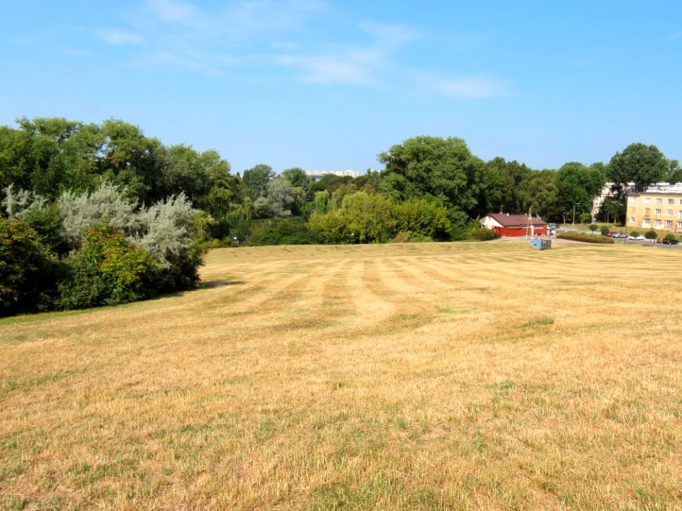 Park Moczydło 09