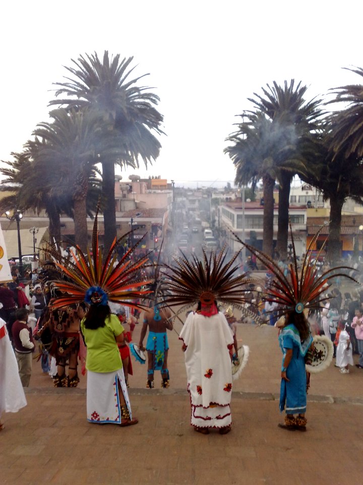 Penachos y palmeras