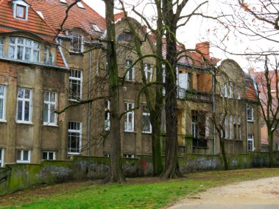 Park im. Drwęskich Poznań 04
