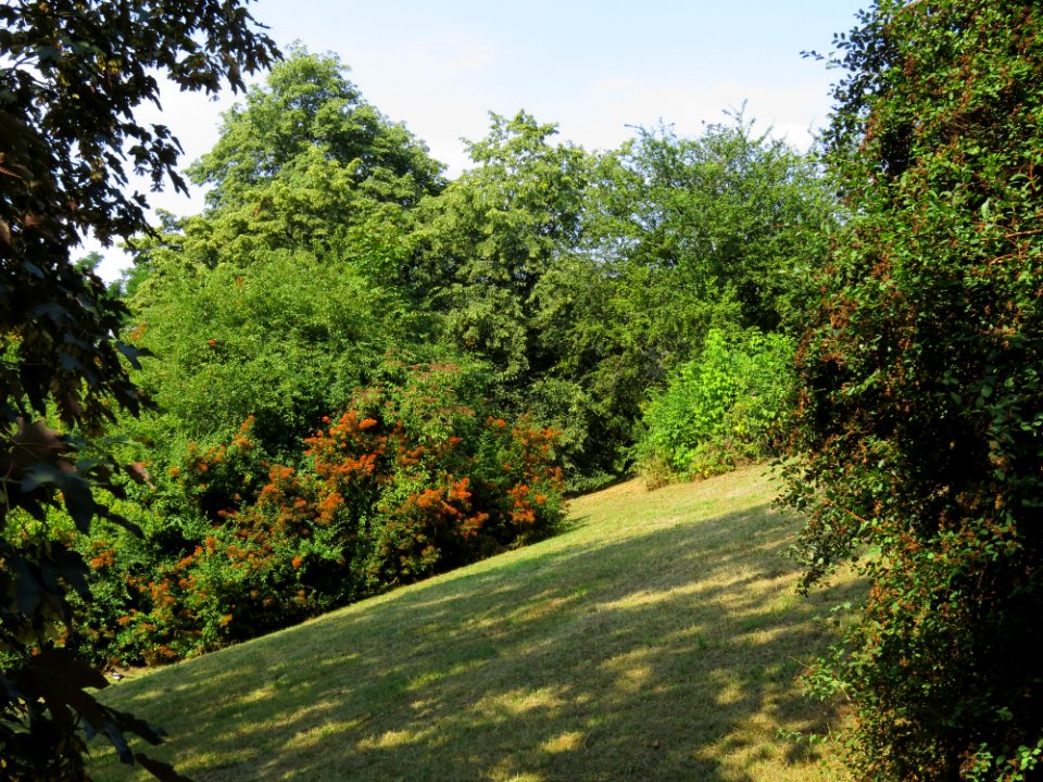 Park Moczydło 07