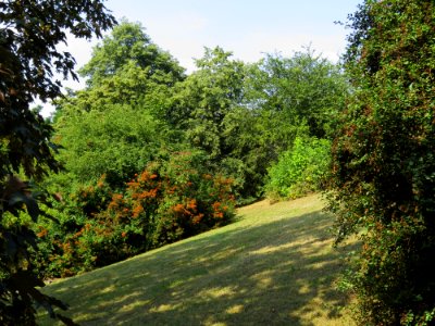 Park Moczydło 07