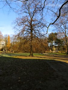 Park Sienkiewicza w Łodzi 04