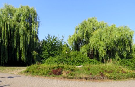 Park Moczydło 03