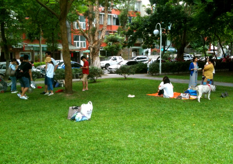 People Talking on Grass with Dog at Minsheng Park 20150503