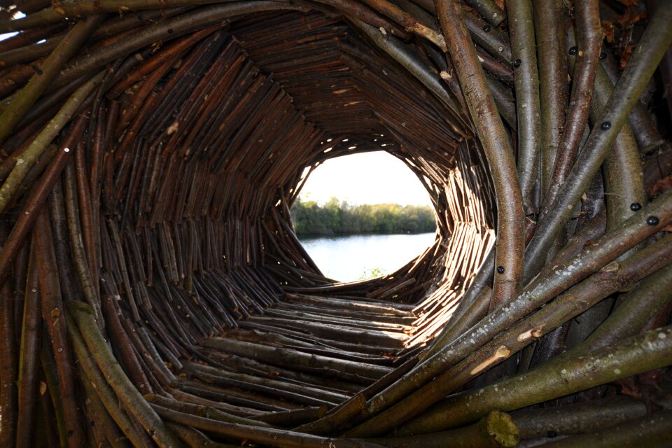 Wood natural texture