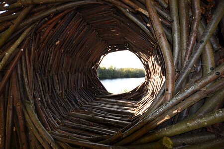 Wood natural texture