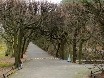 Park Oliwski 16