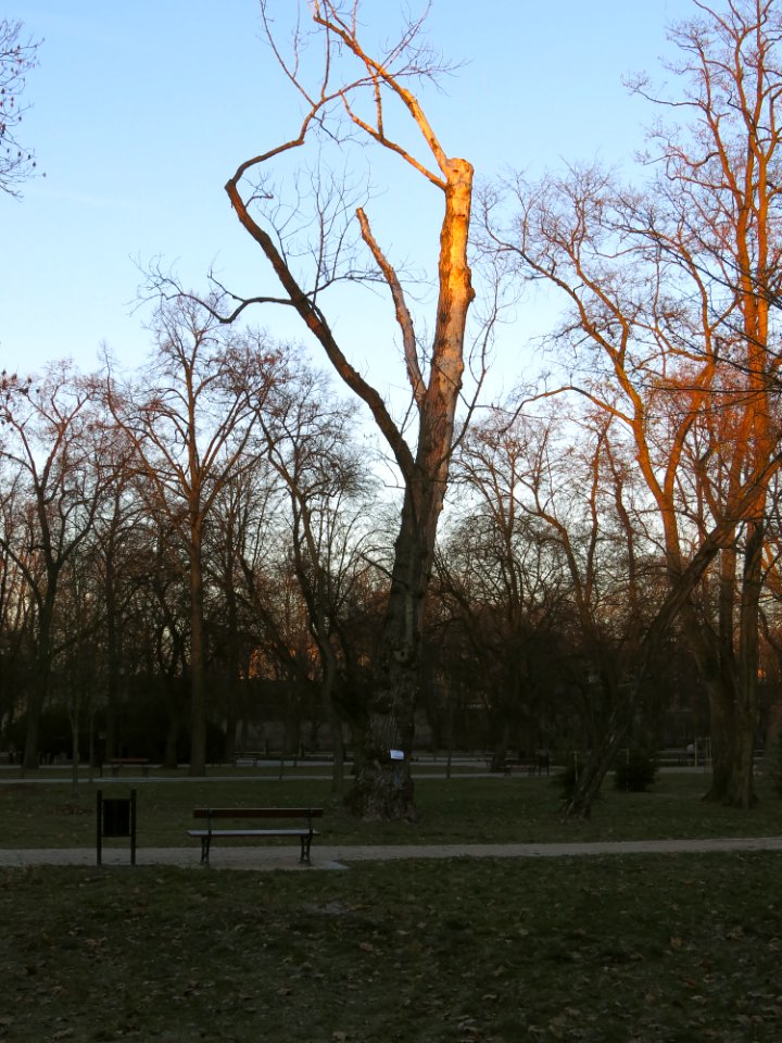 Park Poniatowskiego w Łodzi 10