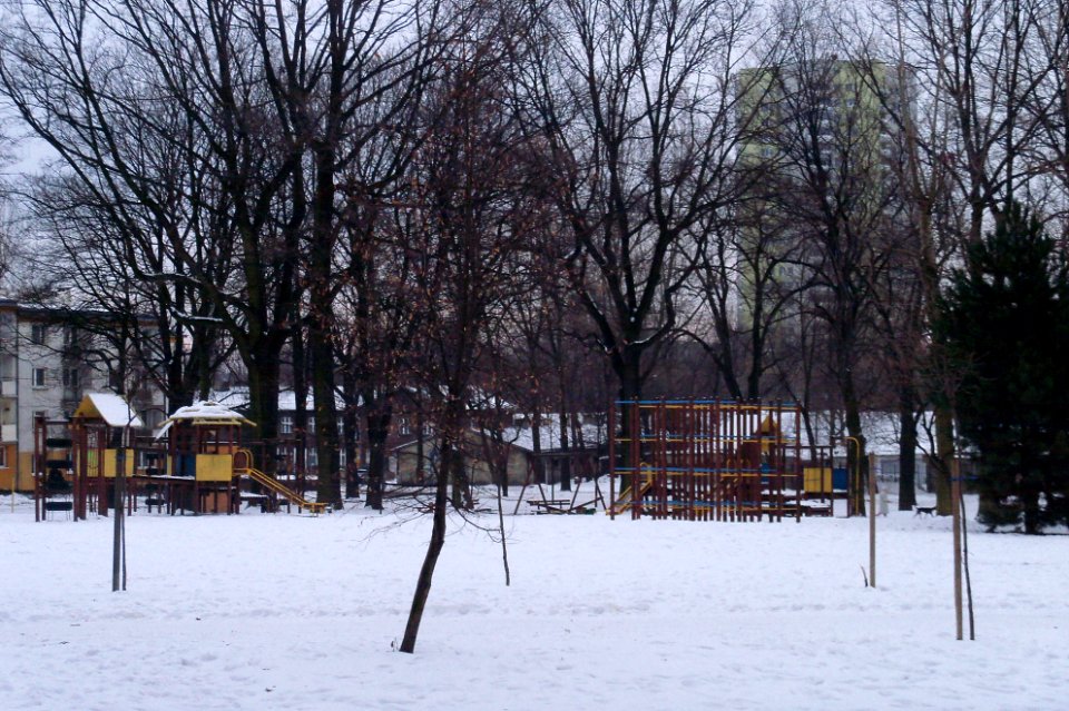 Park Bogucki (1)