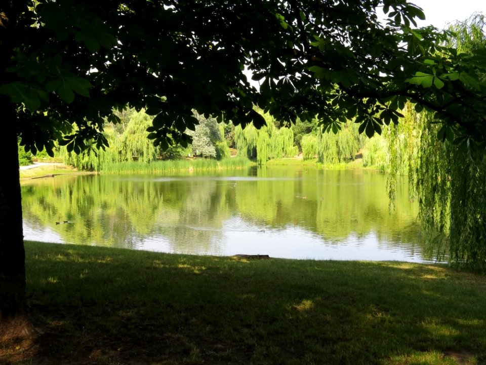 Park Moczydło 06