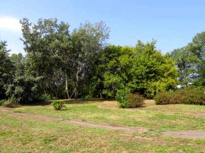 Park Moczydło 11