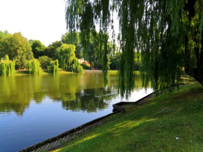 Park Moczydło 02