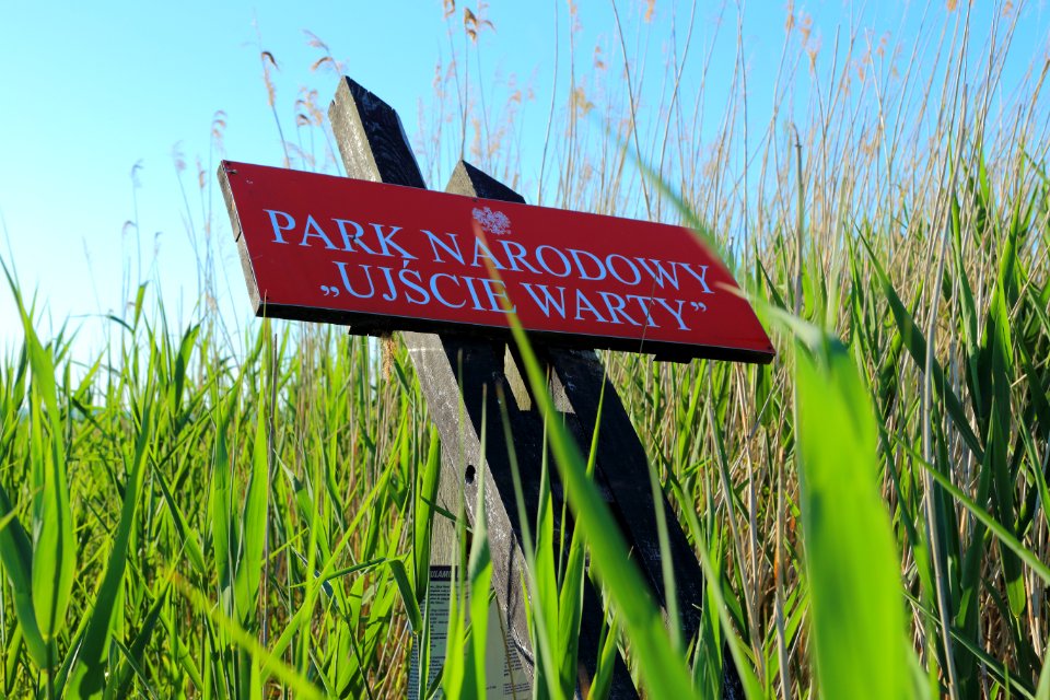 Park Narodowy Ujscie Warty 14