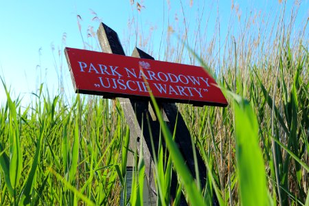 Park Narodowy Ujscie Warty 14