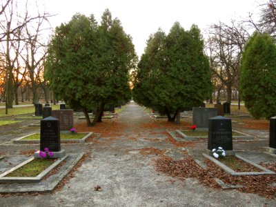 Park Poniatowskiego w Łodzi 15