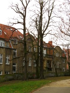 Park im. Drwęskich Poznań 03