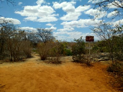 Parque Nacional da Furna Feia