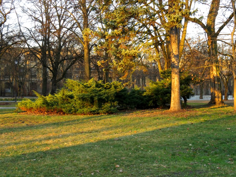 Park Poniatowskiego w Łodzi 05