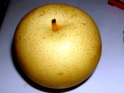 Pyrus pyrifolia fruit (01)