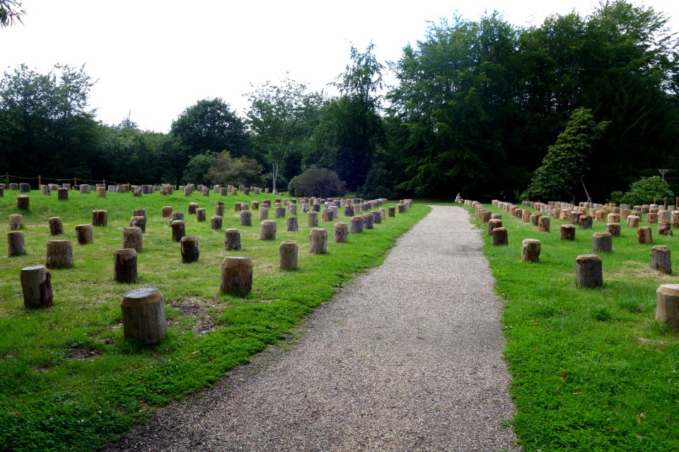 Park Heltorf, Düsseldorf, Juli 2021