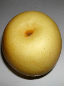 Pyrus pyrifolia fruit (02)
