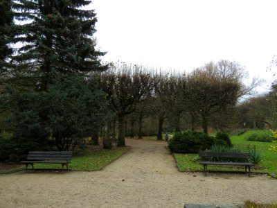 Park Oliwski 17