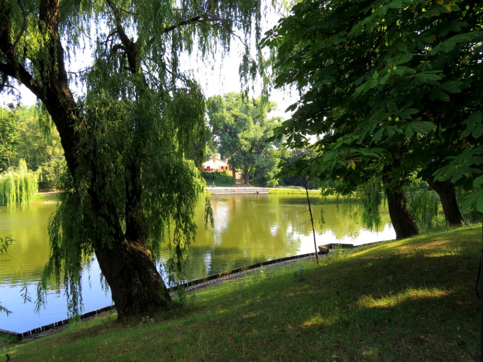 Park Moczydło 01