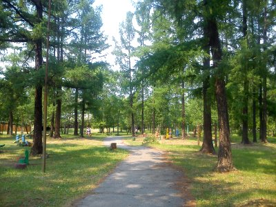 Park in Zakamensk 3