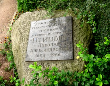 Ptitsyn plaque