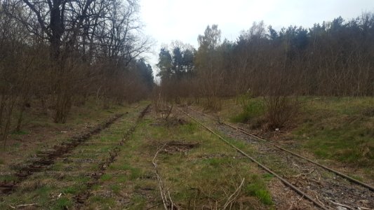 Przewoz abandoned track