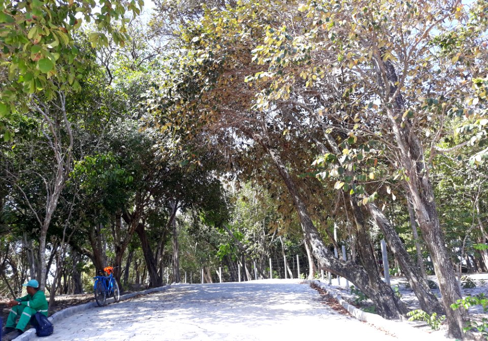 Parque Ecológico Bosque dos Sonhos - João Pessoa (PB)